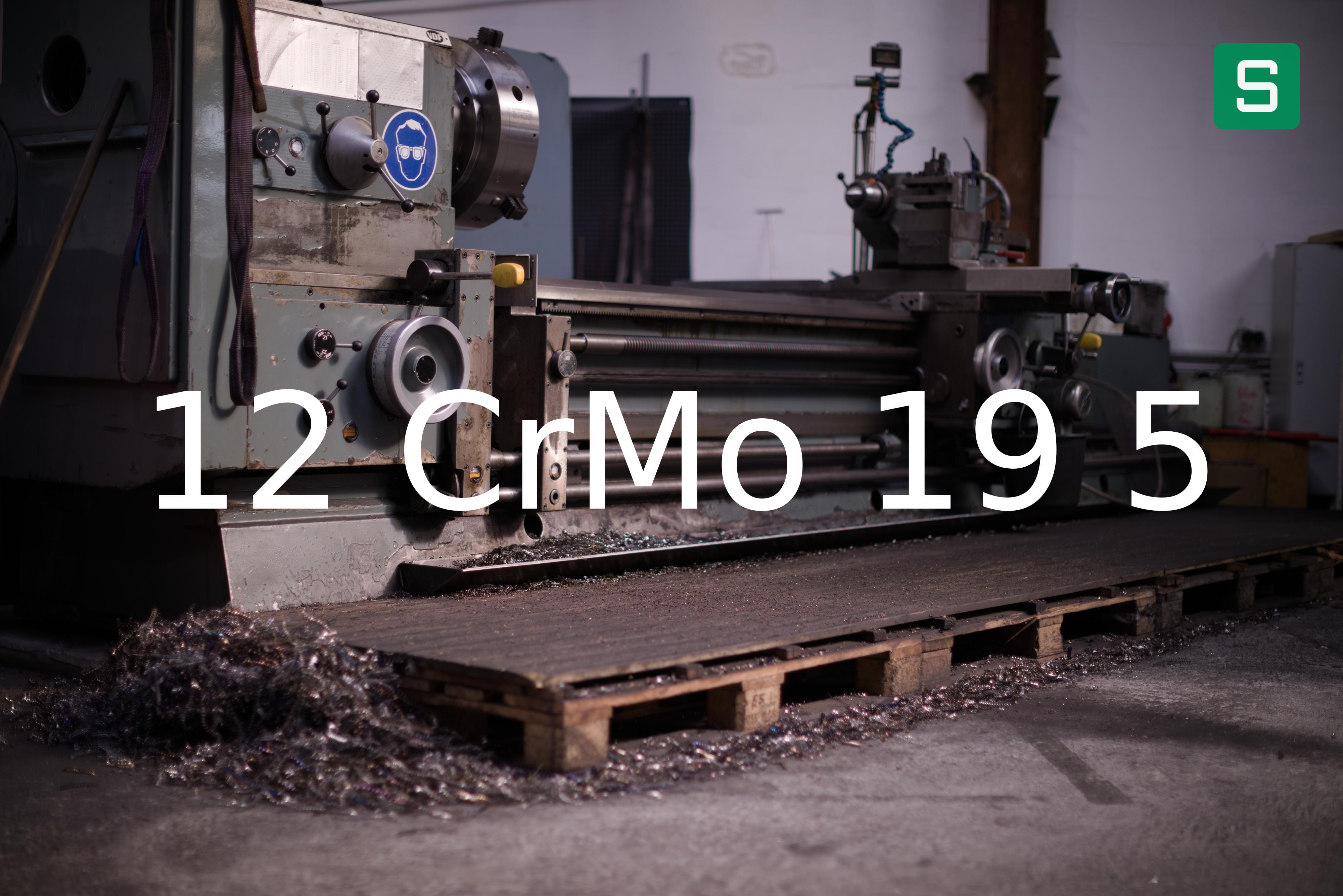 Steel Material: 12 CrMo 19 5