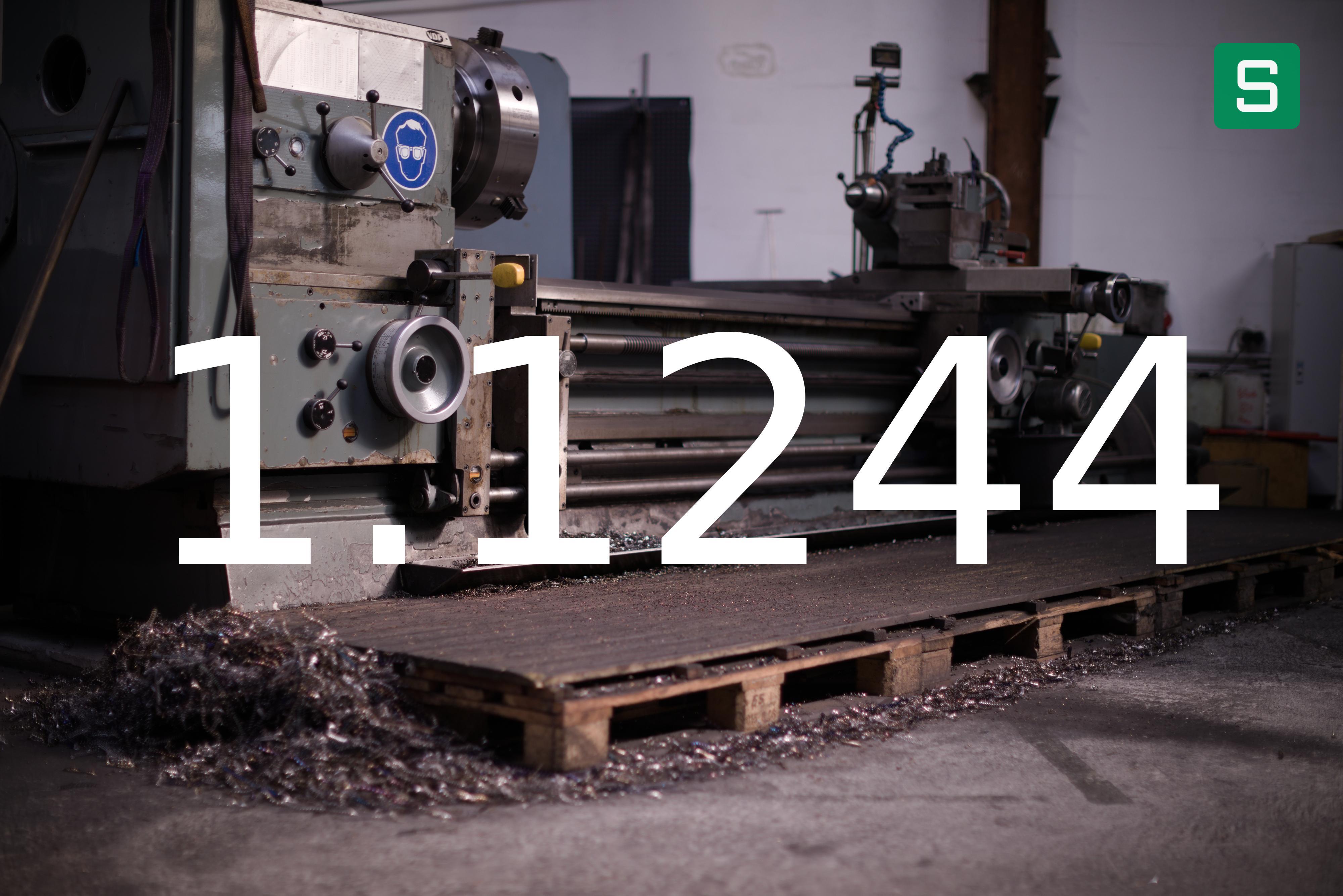 Steel Material: 1.1244