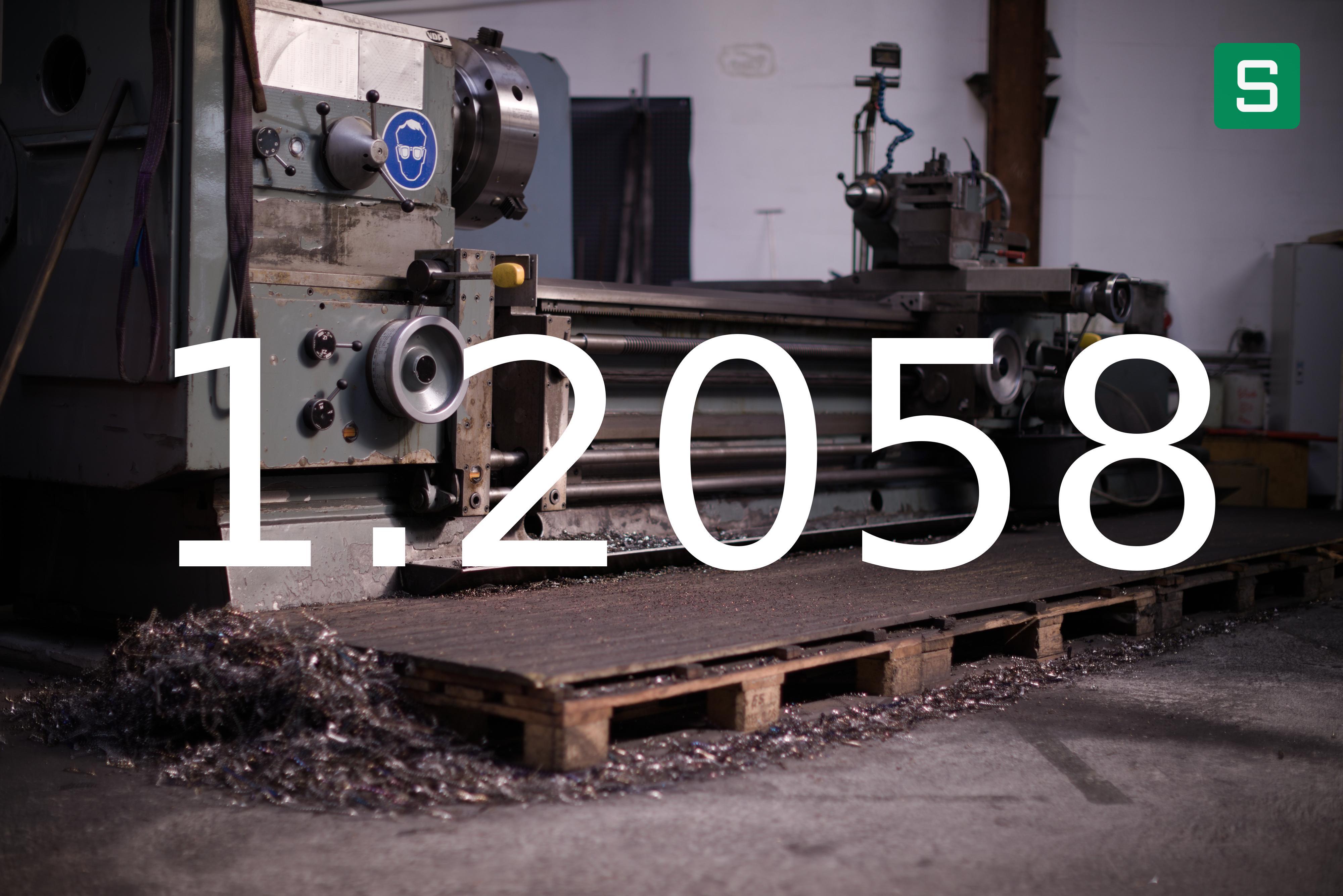 Steel Material: 1.2058