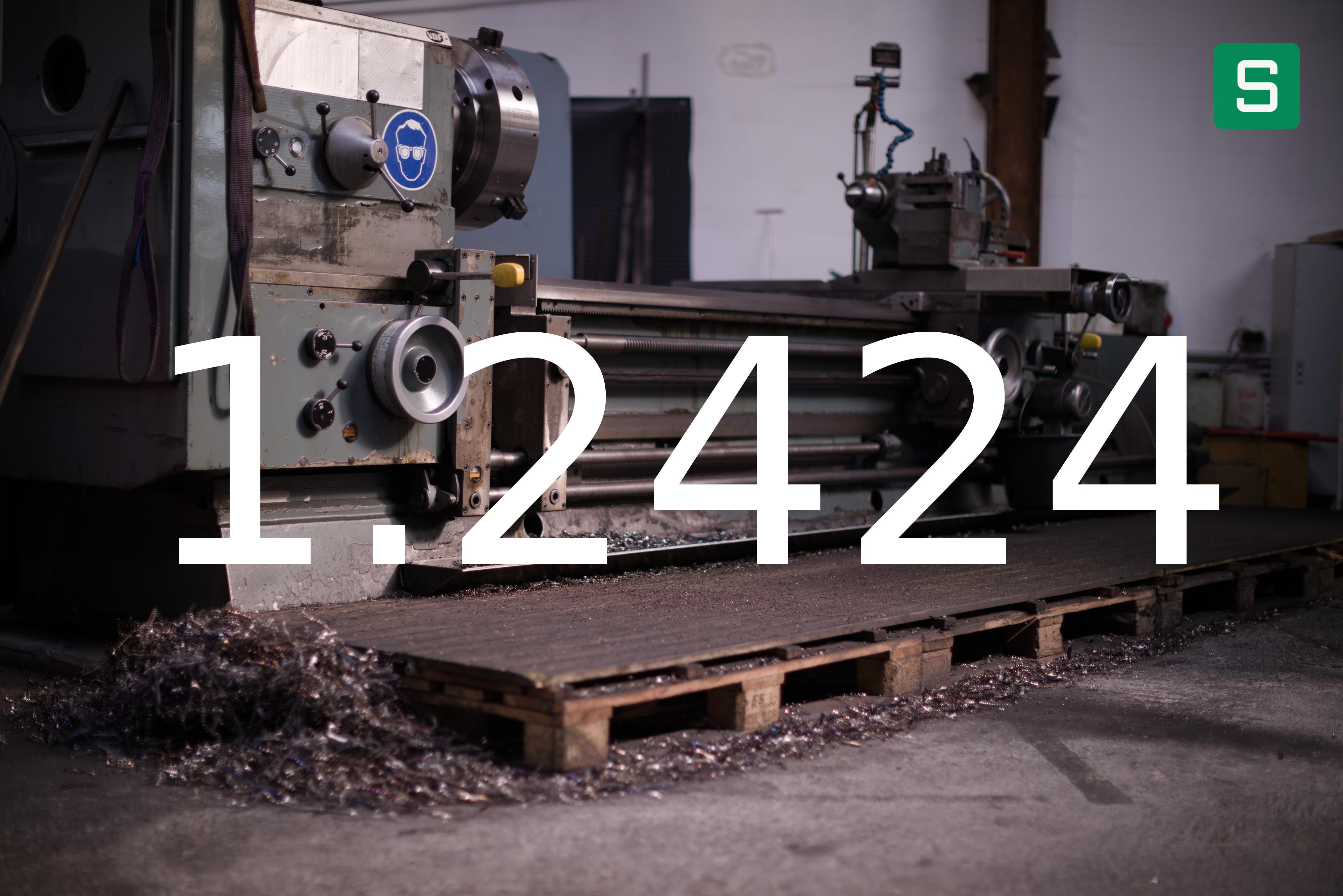 Steel Material: 1.2424