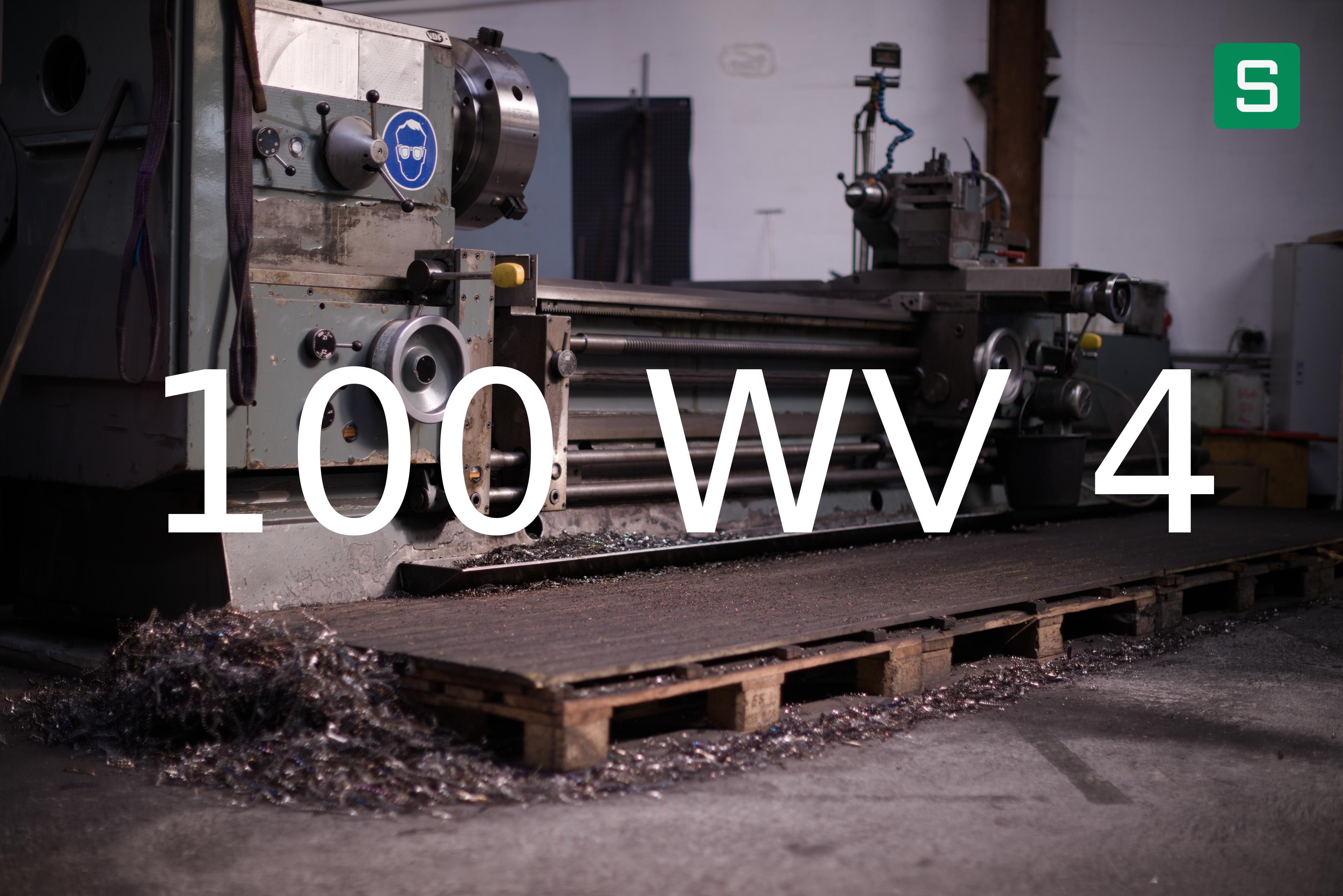 Steel Material: 100 WV 4