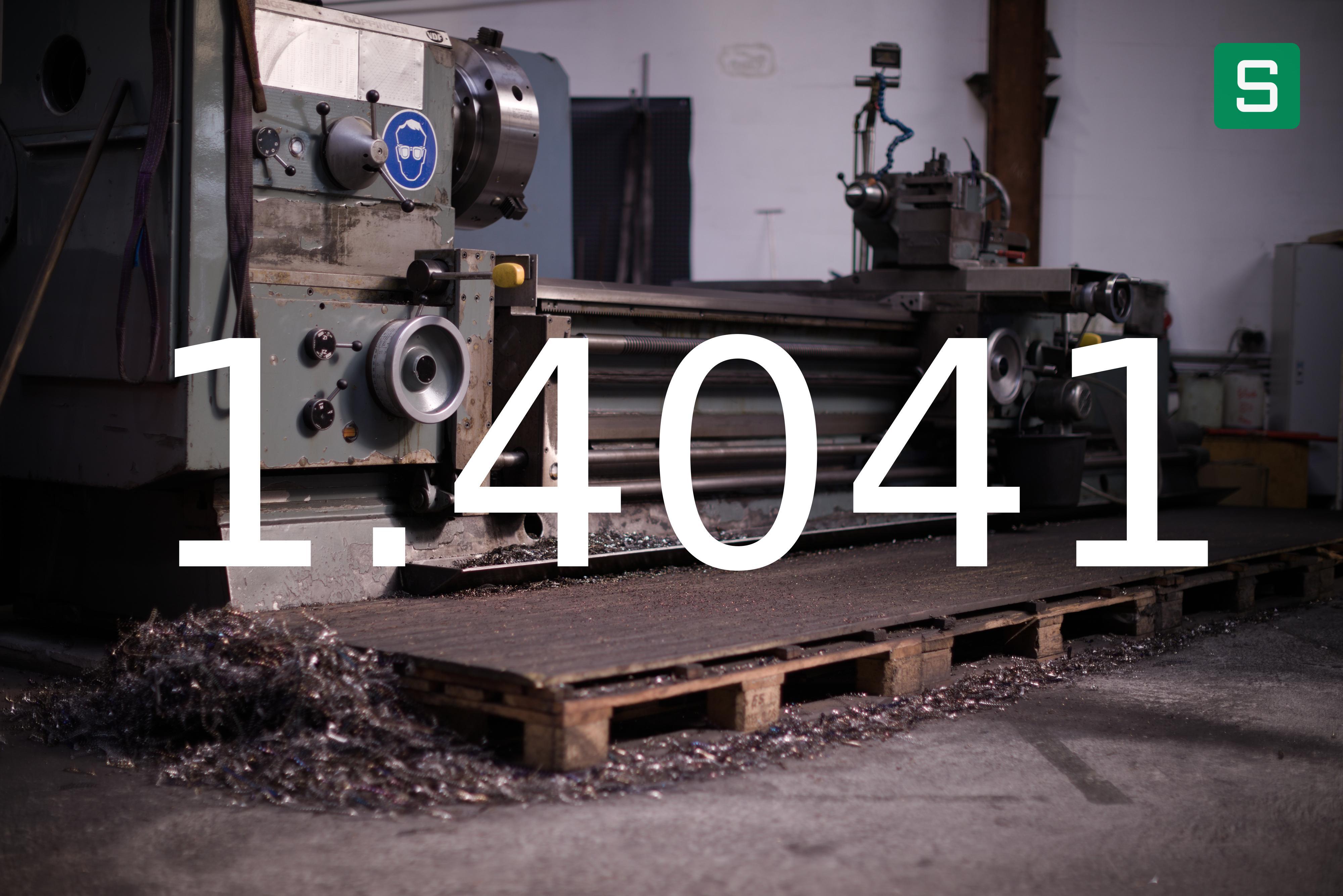 Steel Material: 1.4041