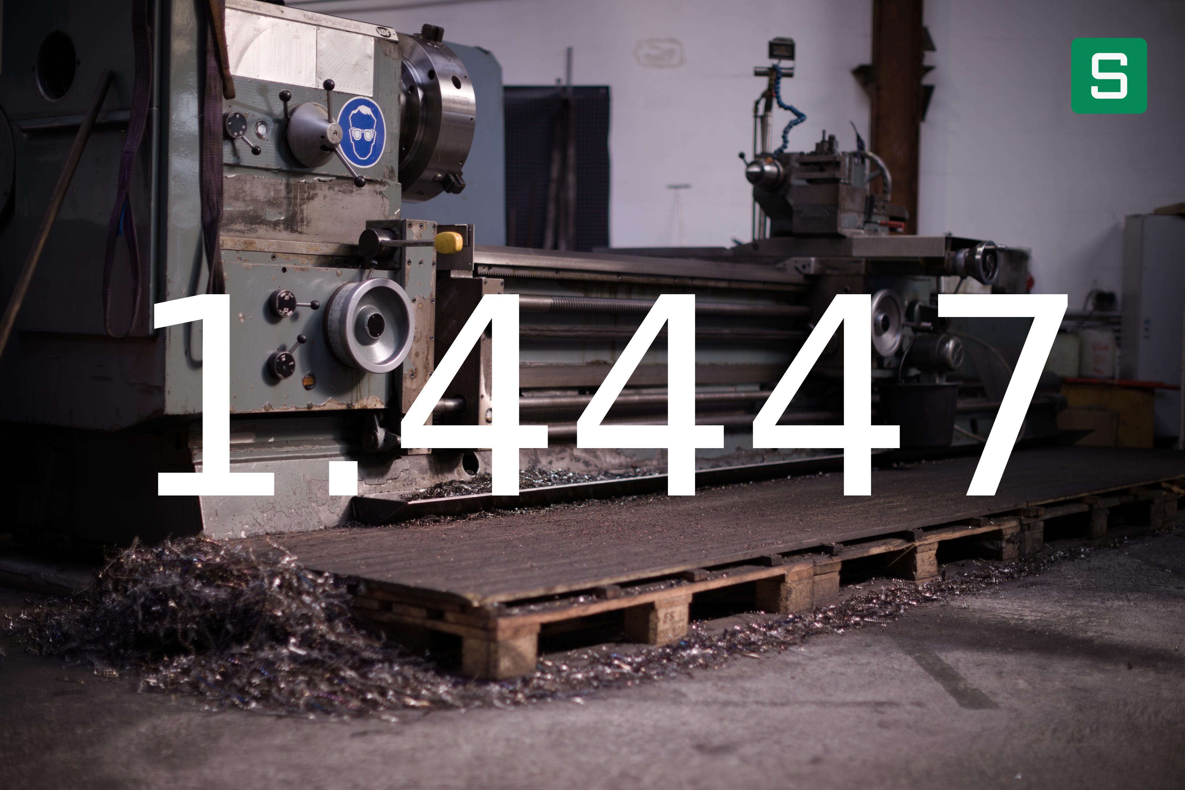 Steel Material: 1.4447
