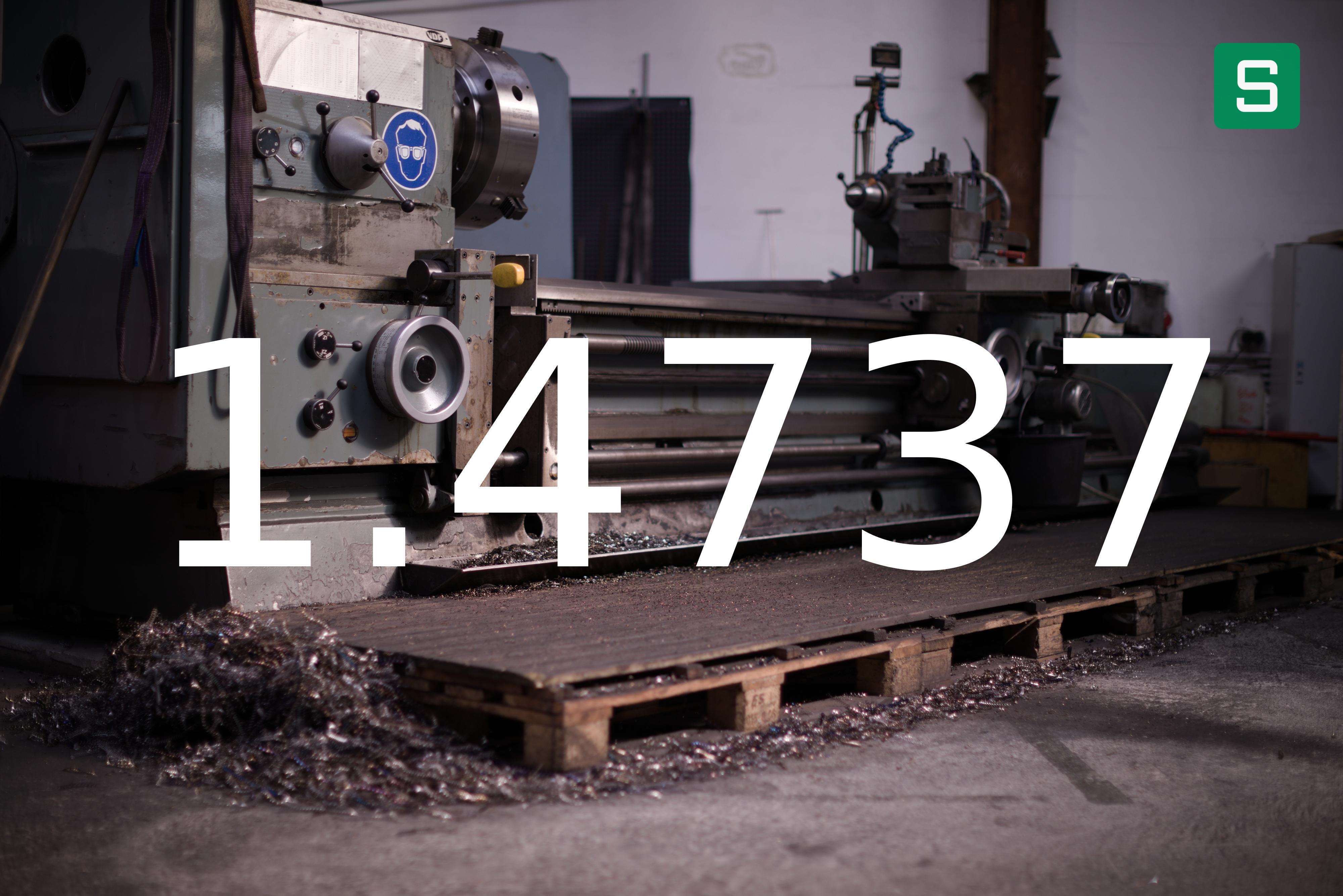 Steel Material: 1.4737