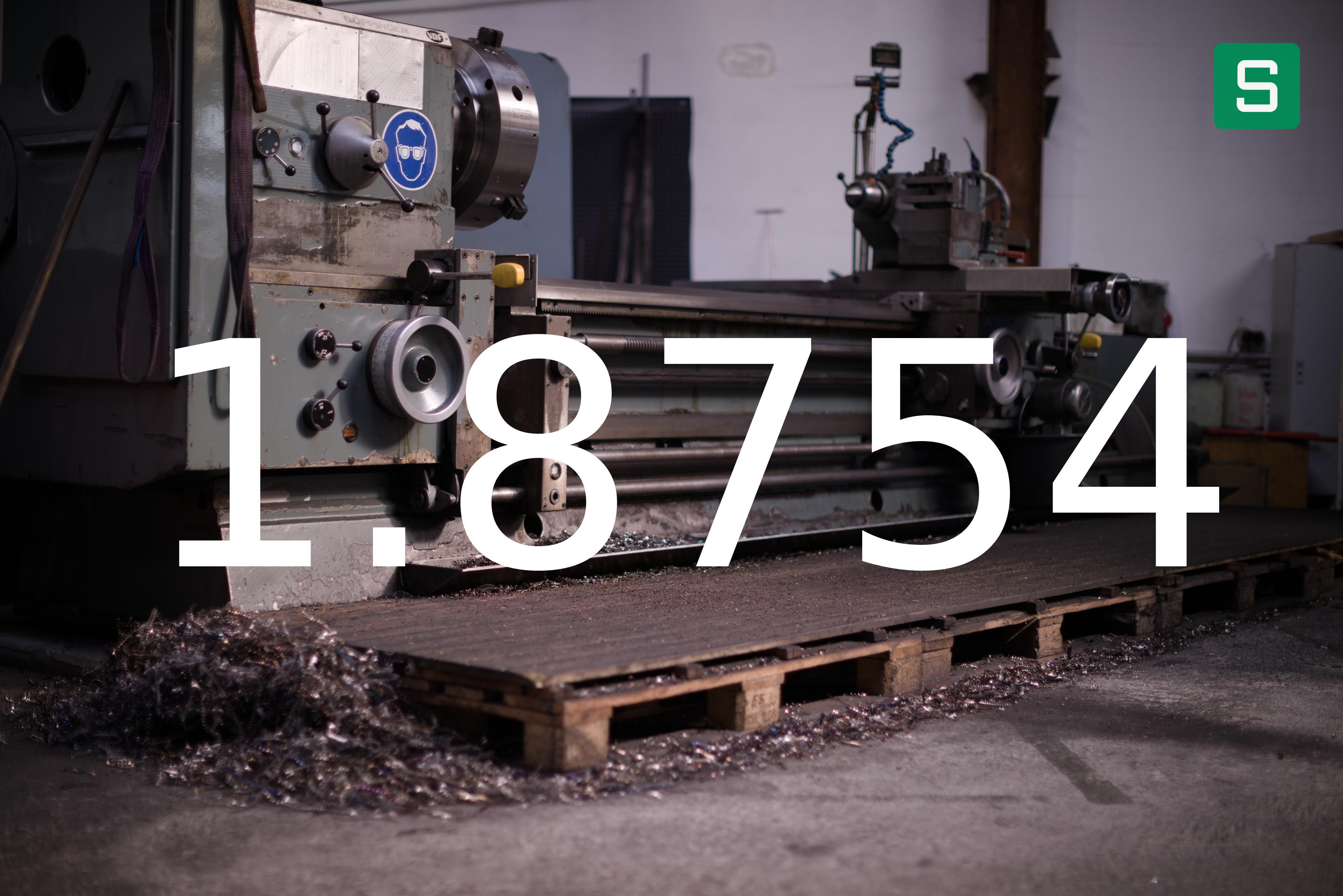 Steel Material: 1.8754