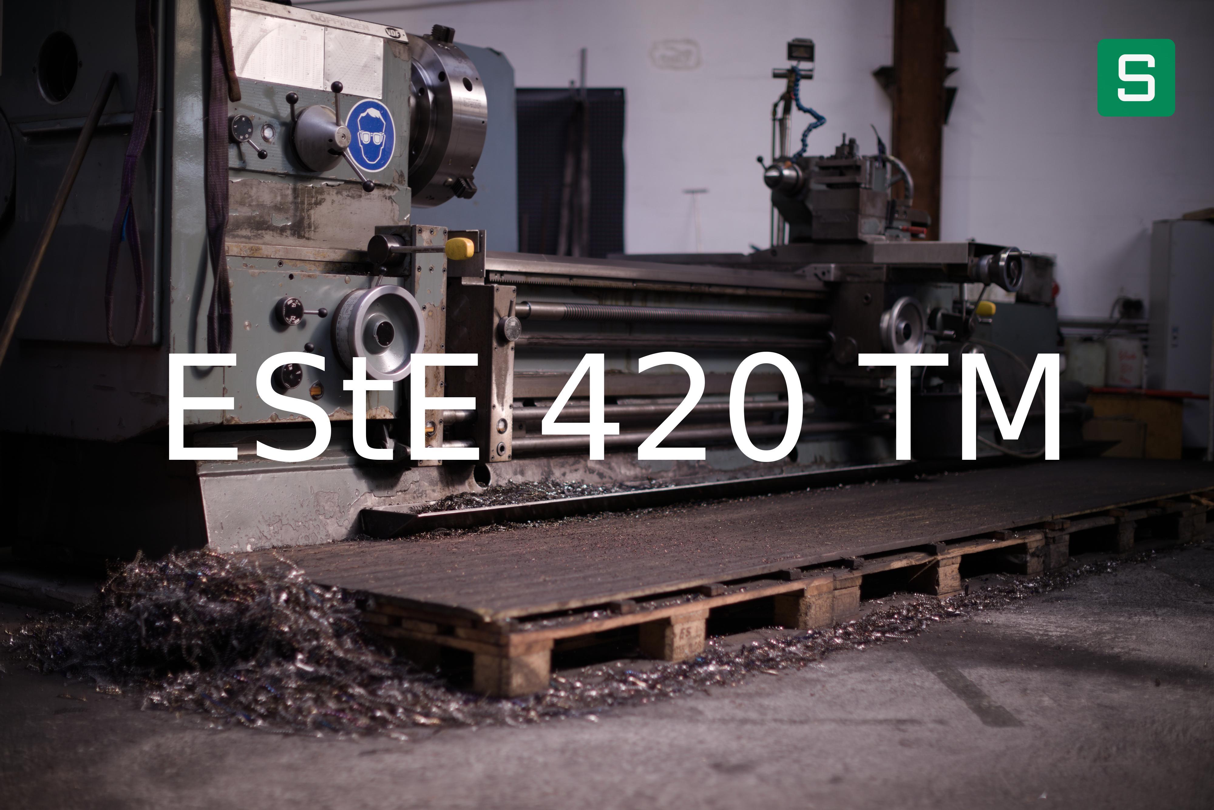 Stahlwerkstoff: EStE 420 TM