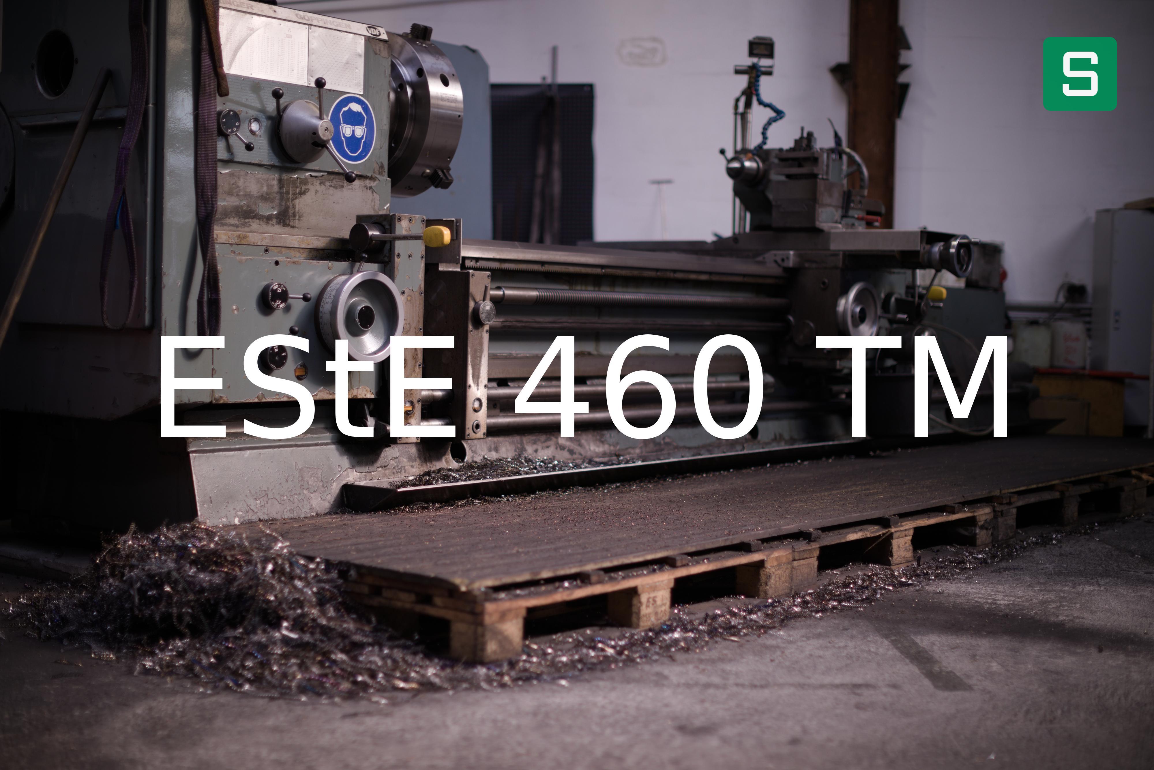 Steel Material: EStE 460 TM