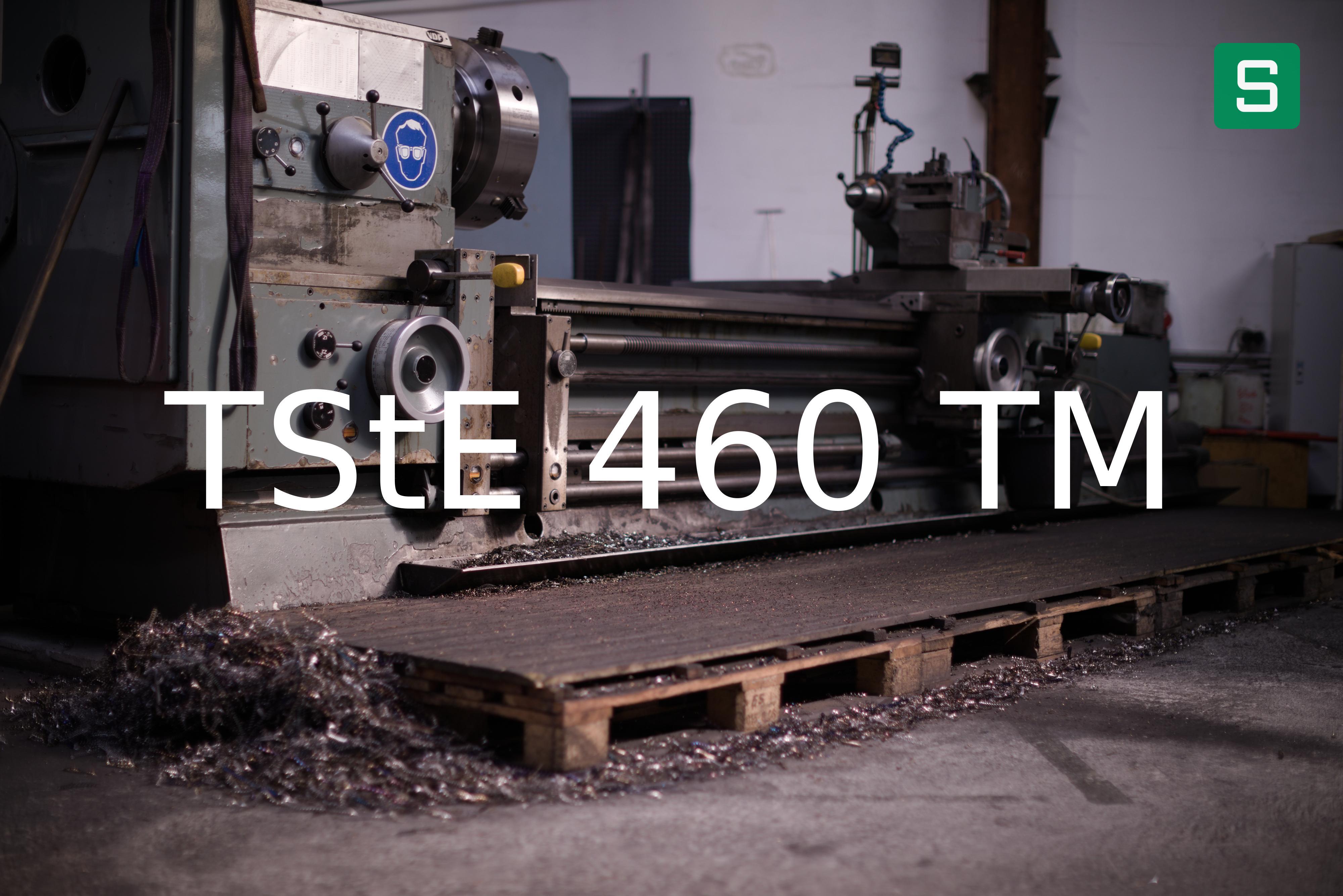 Steel Material: TStE 460 TM