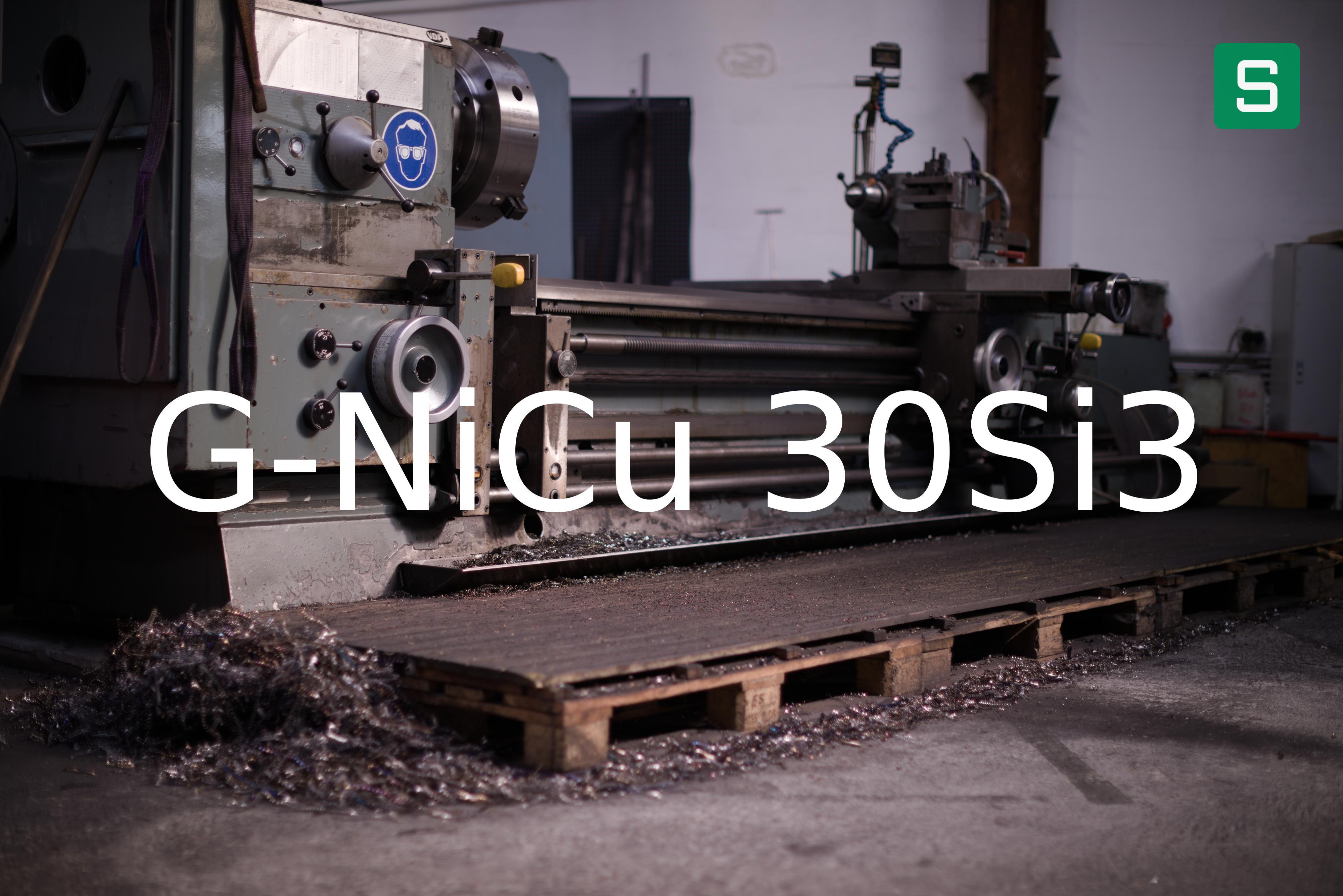 Stahlwerkstoff: G-NiCu 30Si3