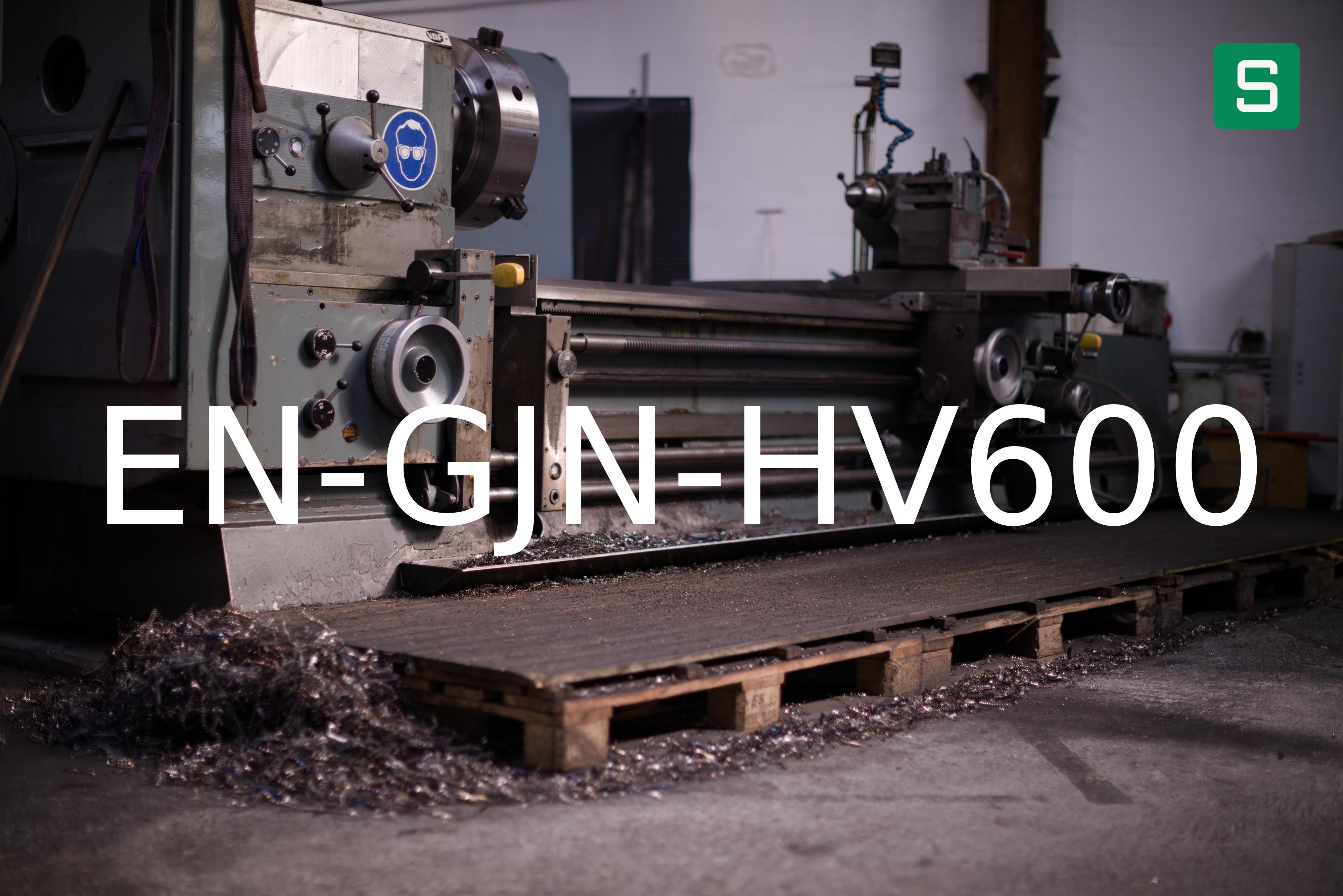 Steel Material: EN-GJN-HV600