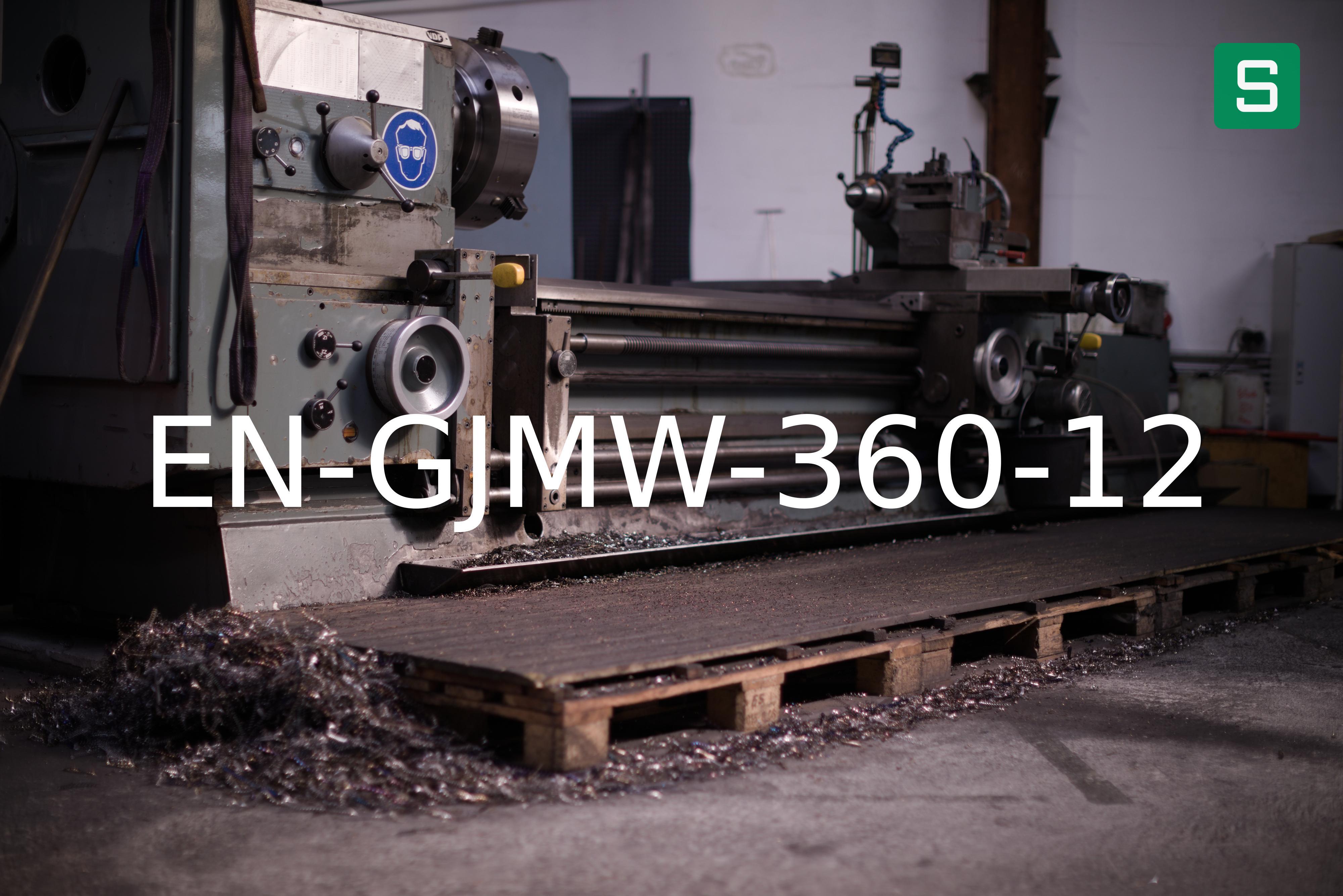 Material de Acero: EN-GJMW-360-12