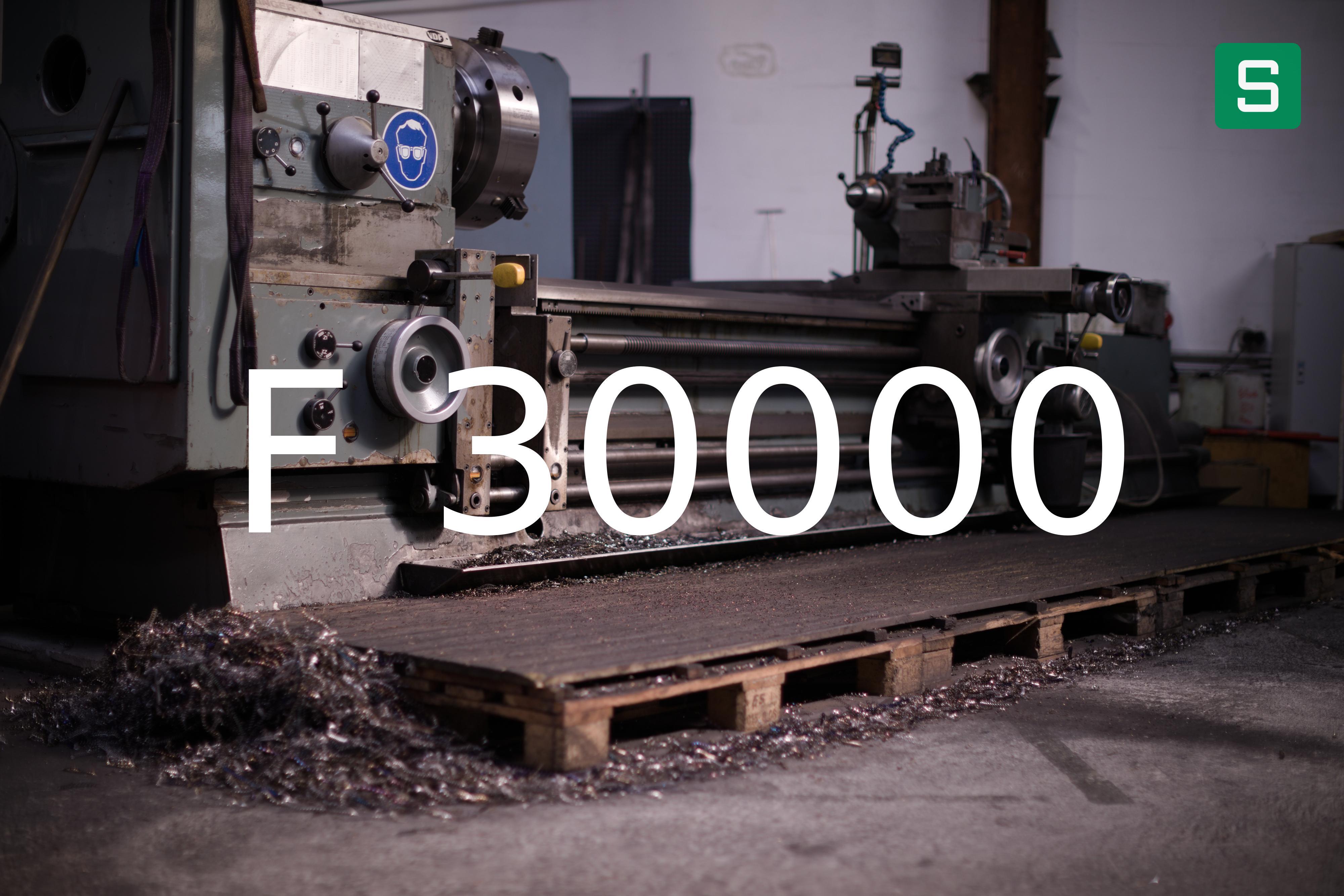 Steel Material: F 30000