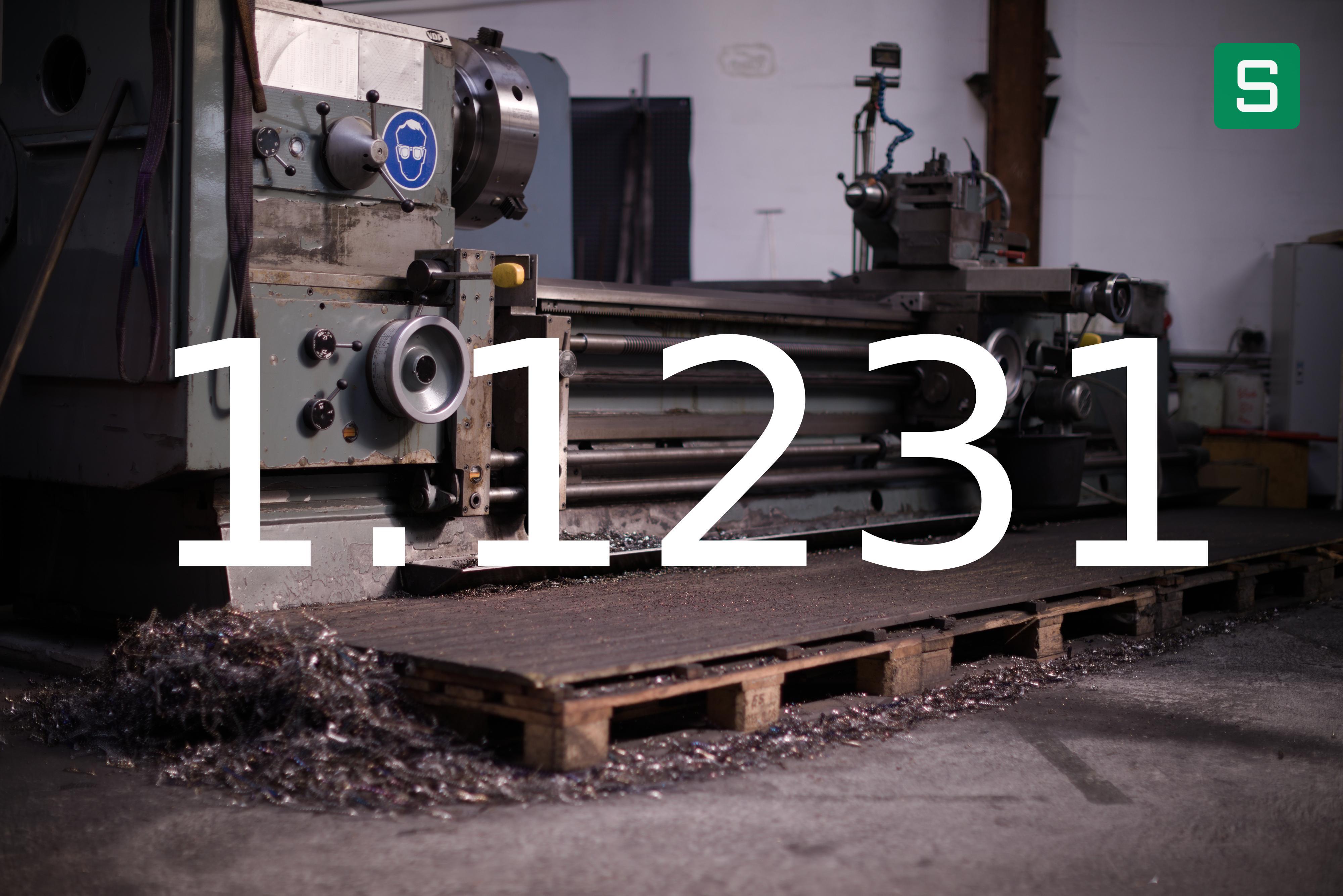 Steel Material: 1.1231