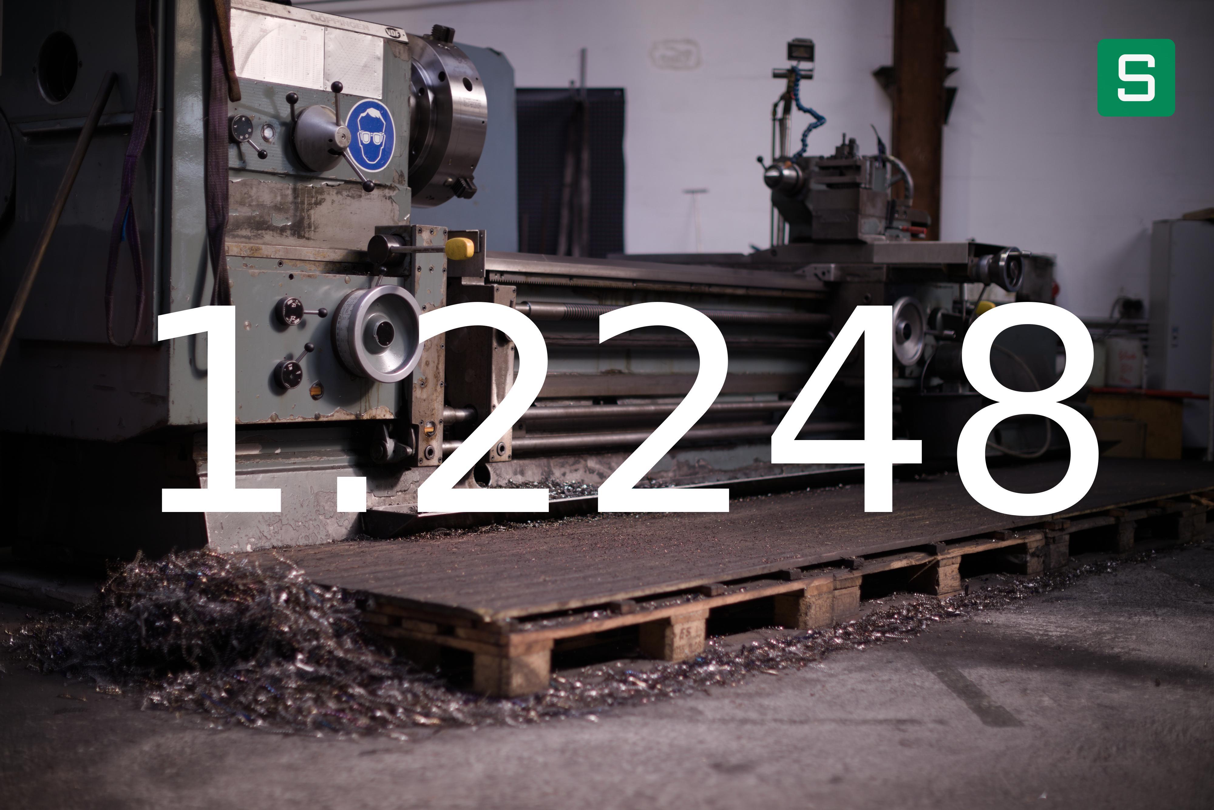Steel Material: 1.2248