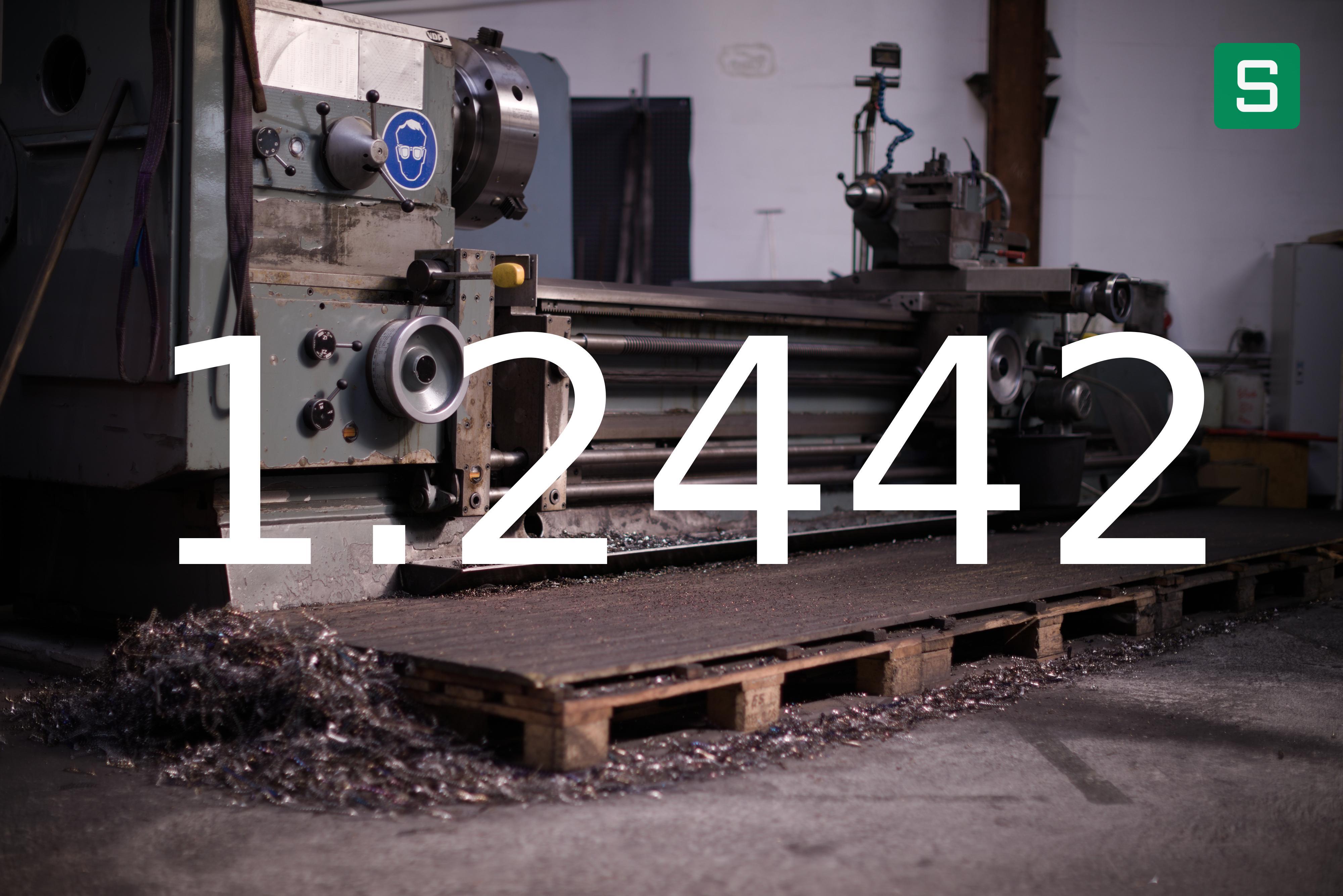 Steel Material: 1.2442