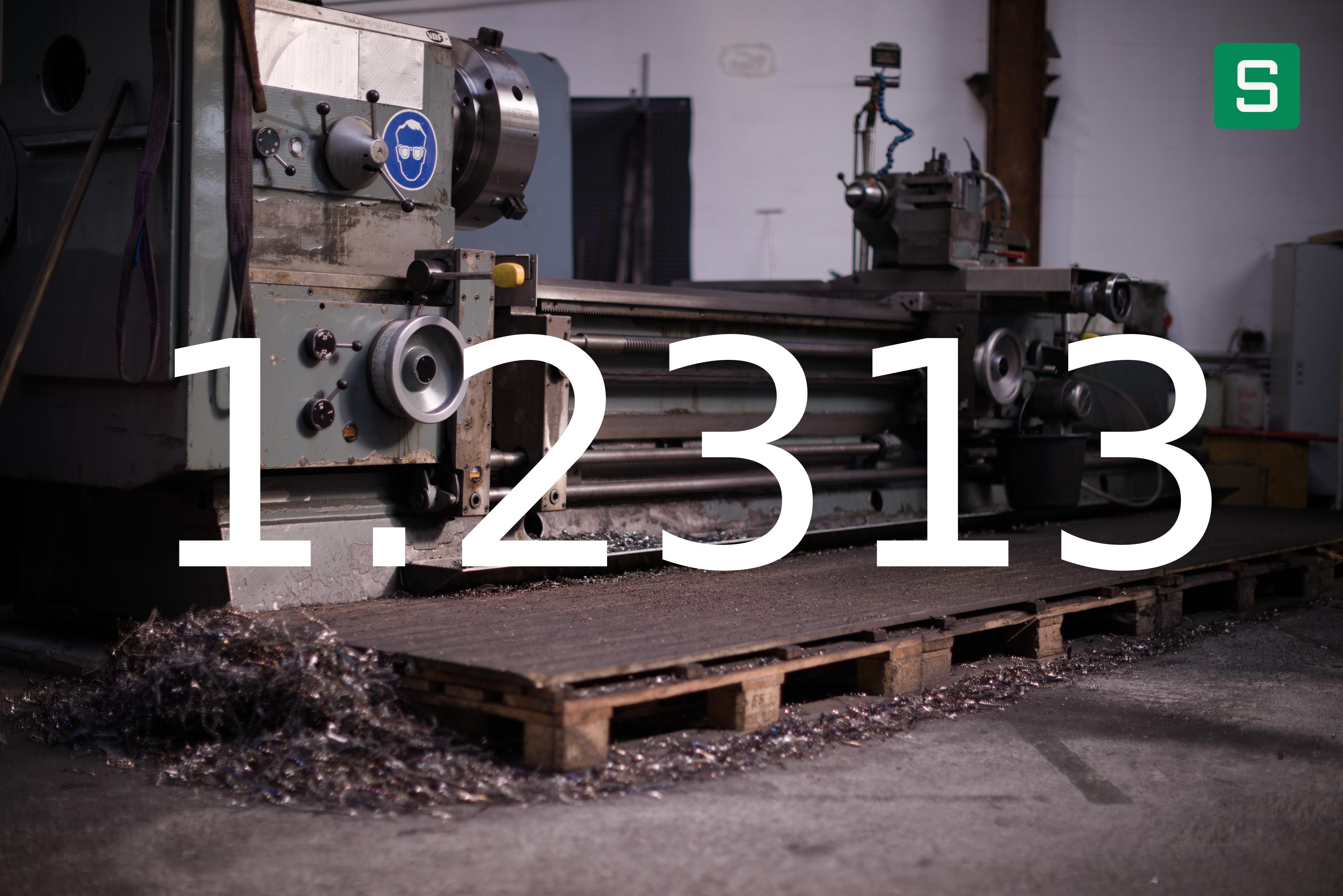 Steel Material: 1.2313